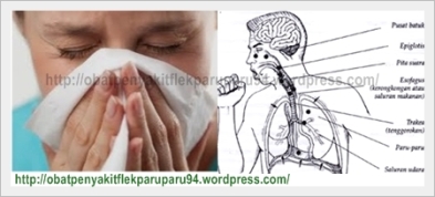 obat penyakit flek paru paru